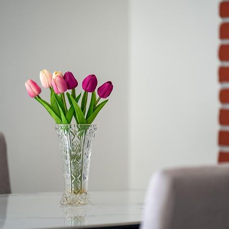 Apartment Gioia ロヴィニ エクステリア 写真